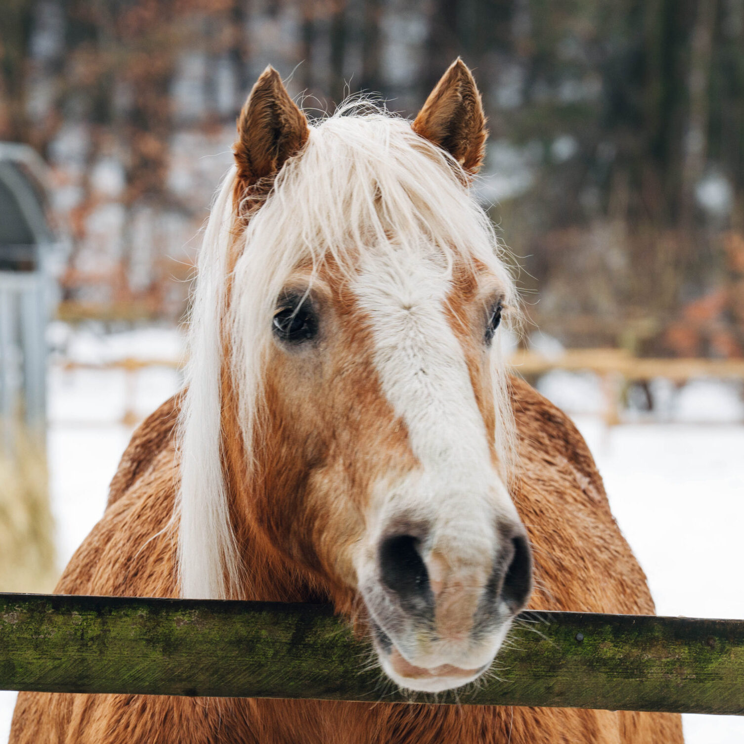 Rentner-DSC00251